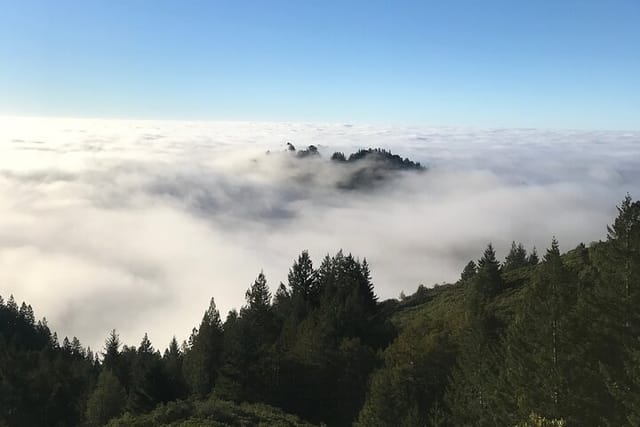 View from Mount Tamalpais!